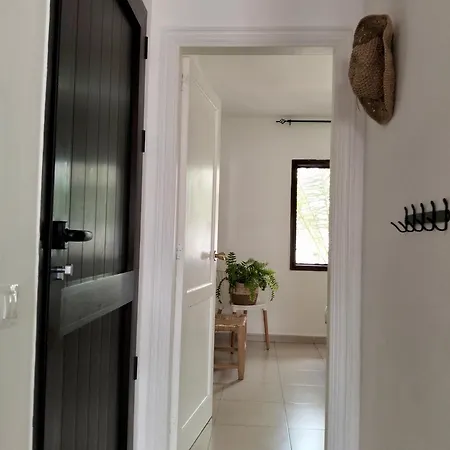 Buena Pace - Lovely In *