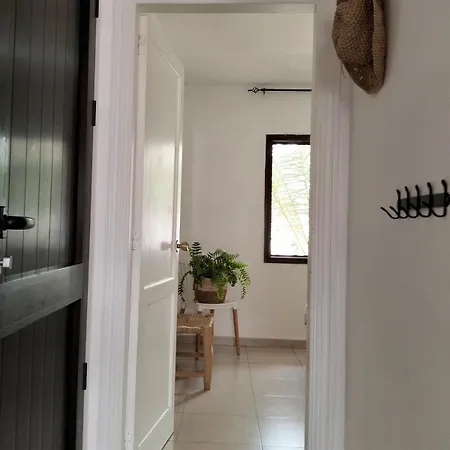 Buena Pace - Lovely In Apartment Corralejo