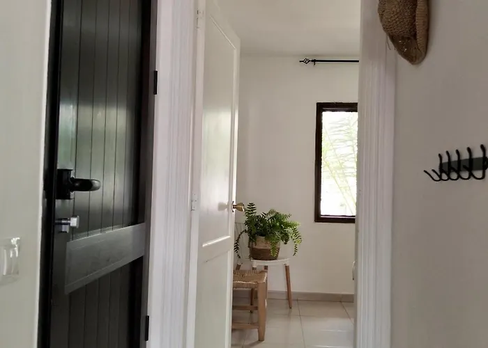 Buena Pace - Lovely In *